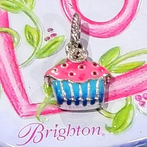 RETIRED BRIGHTON CUPCAKE PINK & BLUE CELEBRATION BIRTHDAY PARTY ABC CHARM